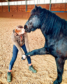 Tieraztpraxis Stehle - Physiotherapie für Pferde