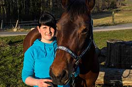 Tieraztpraxis Stehle - Physiotherapie für Pferde