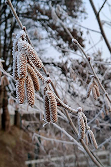 Pferde richtig füttern