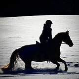 PSSM - Polysaccharide Storage Myopathy