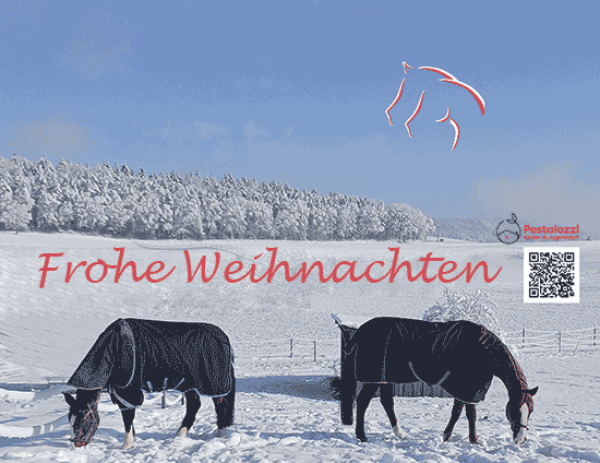 Frohe Weihnachten 2025