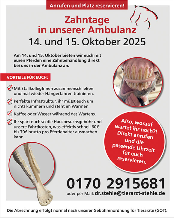 Zahntage in unserer Ambulanz