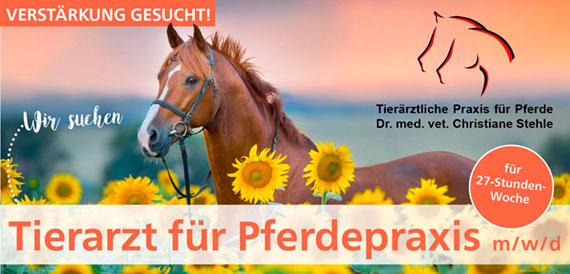 Stellenangebot